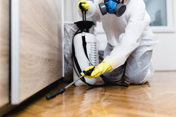 Trusted Wabasha, MN Pest Control Experts