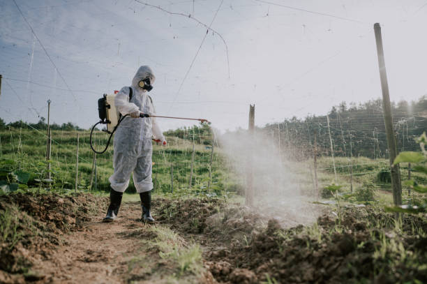 Best Mosquito Control Services  in Wabasha, MN