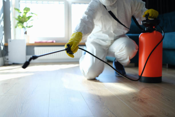 Best Flea Control Services  in Wabasha, MN