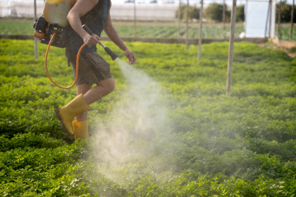 Best Residential Pest Control  in Wabasha, MN
