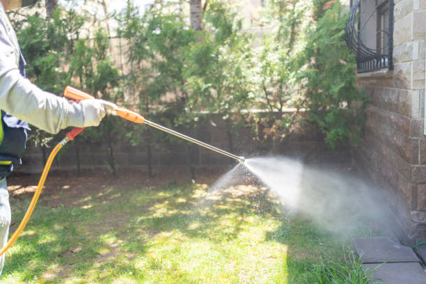 Best Wasp Removal Services  in Wabasha, MN