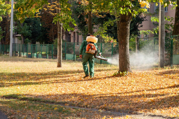 Flea Control Services in Wabasha, MN